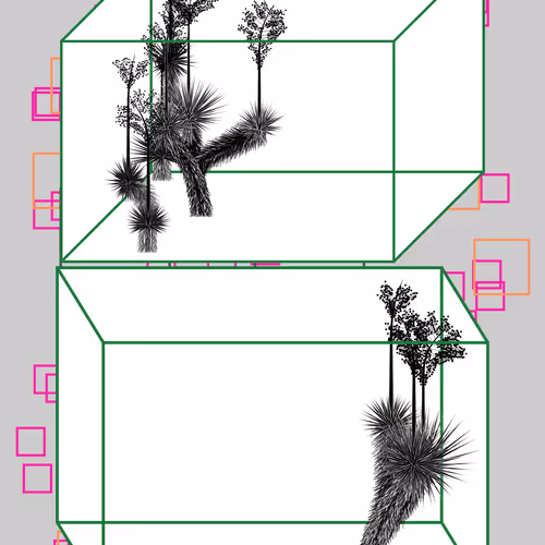 Marfa Yucca By Daniel Calderon Arenas