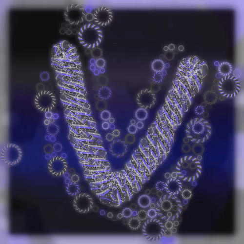 Friendship Bracelets By Alexis Andre