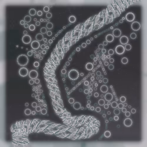 Friendship Bracelets By Alexis Andre