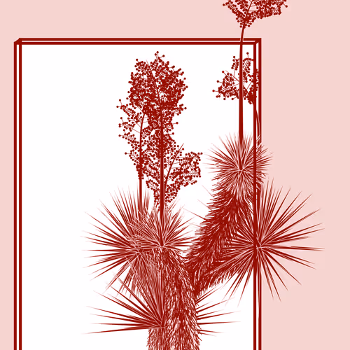Marfa Yucca By Daniel Calderon Arenas