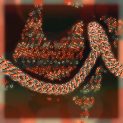 Friendship Bracelets By Alexis Andre