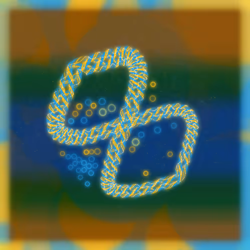 Friendship Bracelets By Alexis Andre