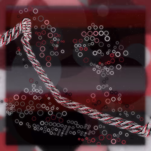 Friendship Bracelets By Alexis Andre