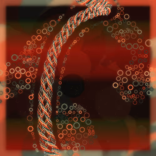 Friendship Bracelets By Alexis Andre