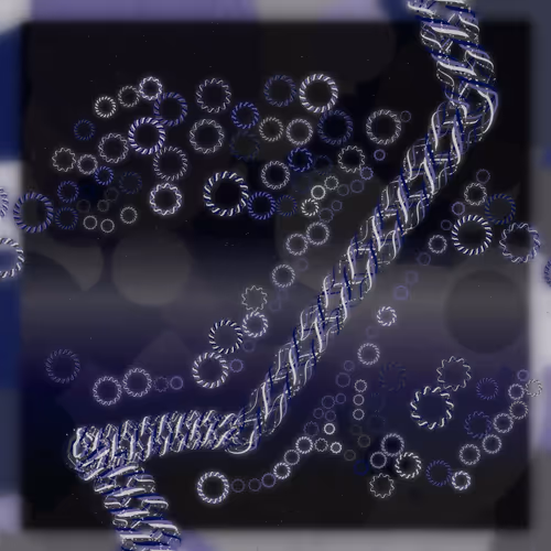 Friendship Bracelets By Alexis Andre