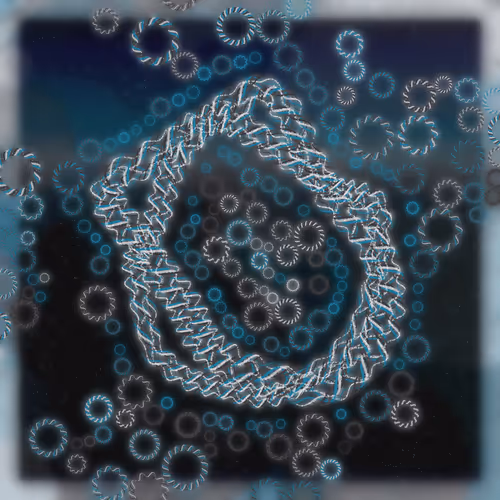 Friendship Bracelets By Alexis Andre