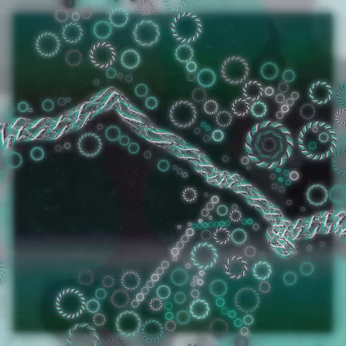 Friendship Bracelets By Alexis Andre