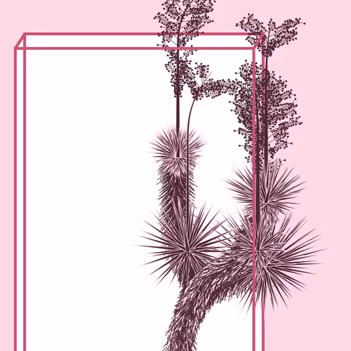 Marfa Yucca By Daniel Calderon Arenas