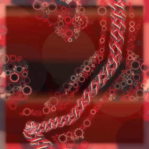 Friendship Bracelets By Alexis Andre
