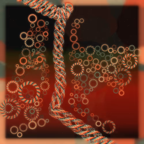 Friendship Bracelets By Alexis Andre