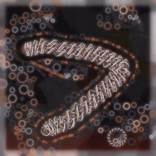 Friendship Bracelets By Alexis Andre