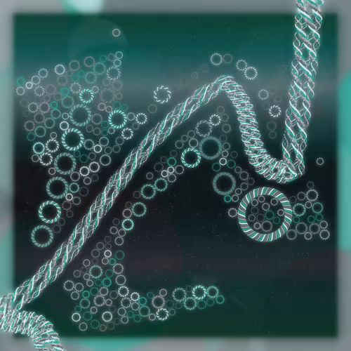 Friendship Bracelets By Alexis Andre