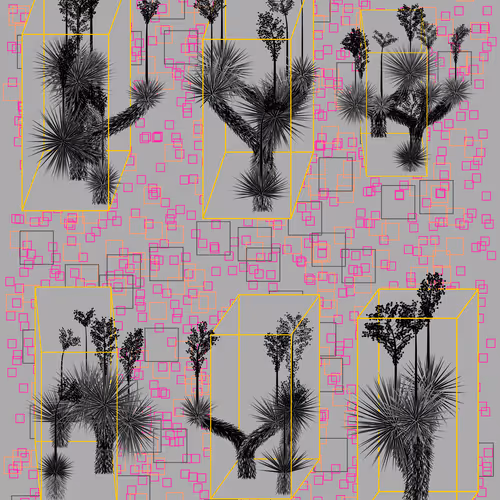 Marfa Yucca #356