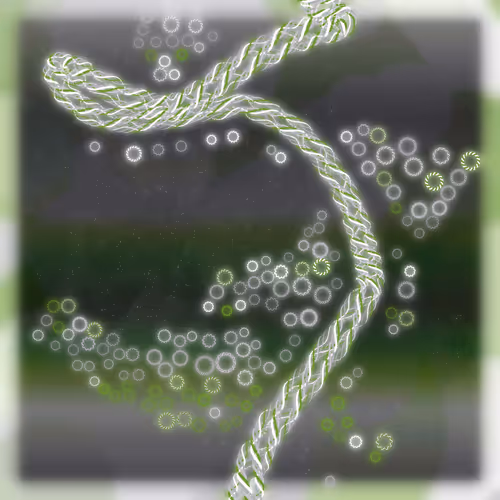 Friendship Bracelets By Alexis Andre