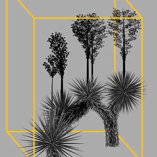 Marfa Yucca By Daniel Calderon Arenas