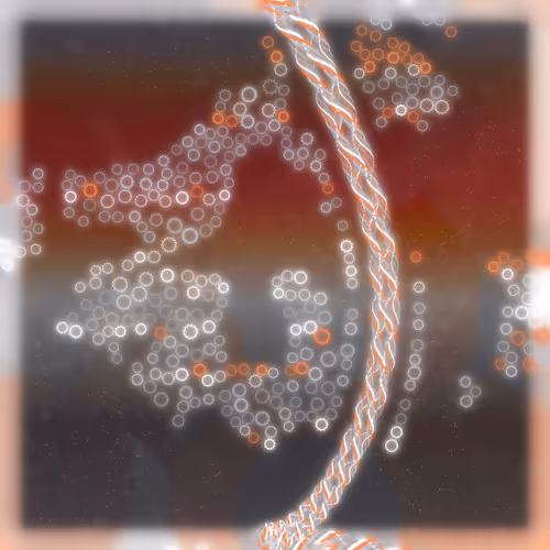 Friendship Bracelets By Alexis Andre