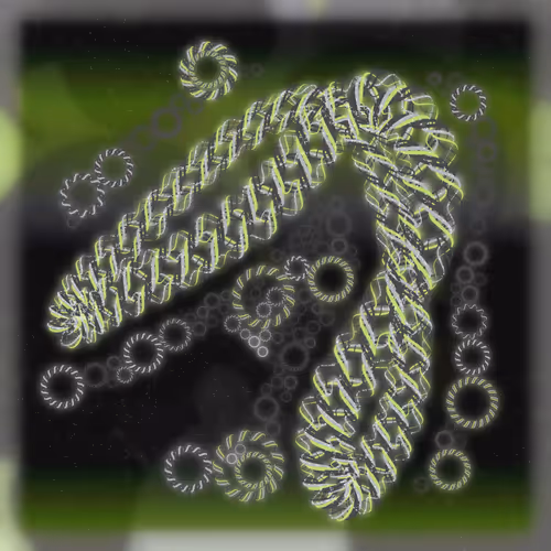 Friendship Bracelets By Alexis Andre