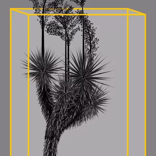 Marfa Yucca By Daniel Calderon Arenas
