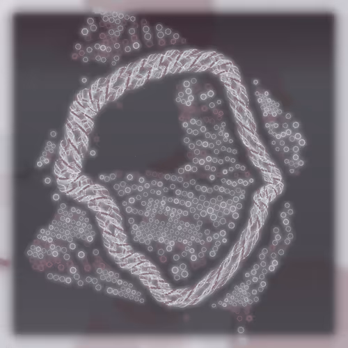 Friendship Bracelets By Alexis Andre