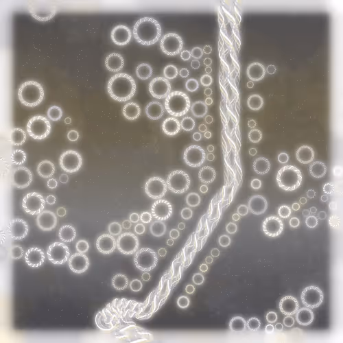 Friendship Bracelets By Alexis Andre