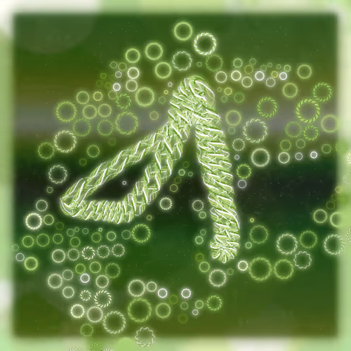 Friendship Bracelets By Alexis Andre