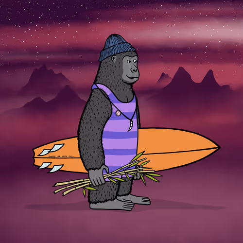 Safarisurfers