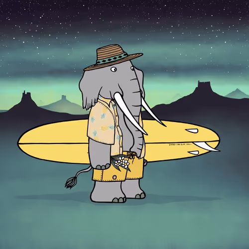 Safarisurfers