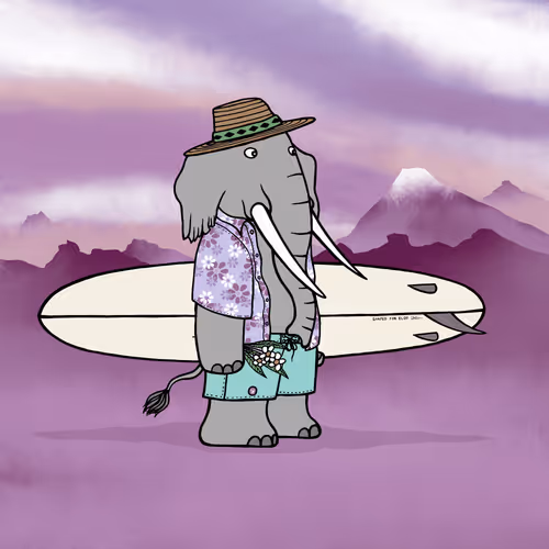 Safarisurfers