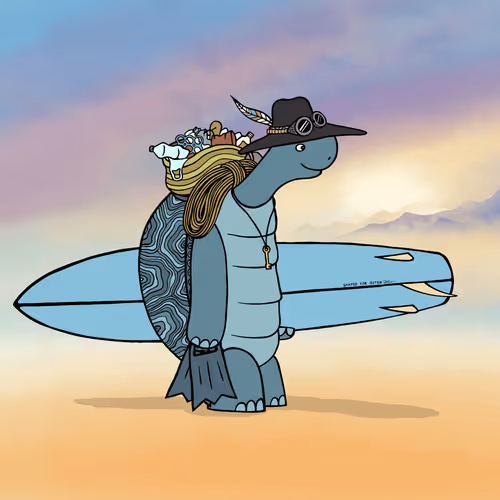 Safarisurfers