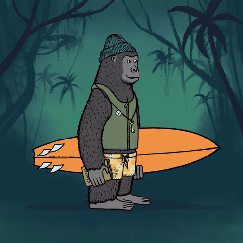 Safarisurfers