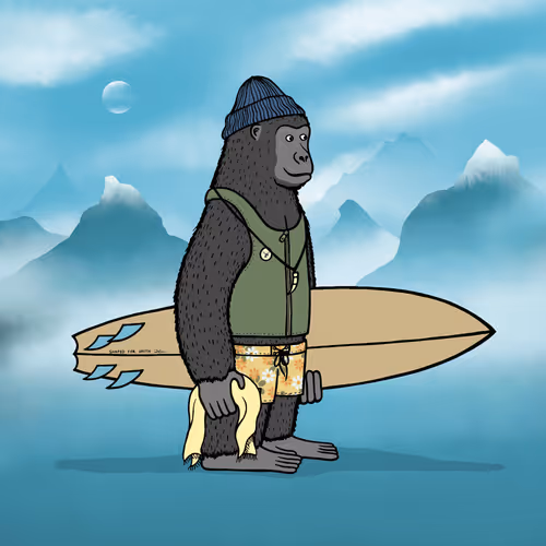 Safarisurfers