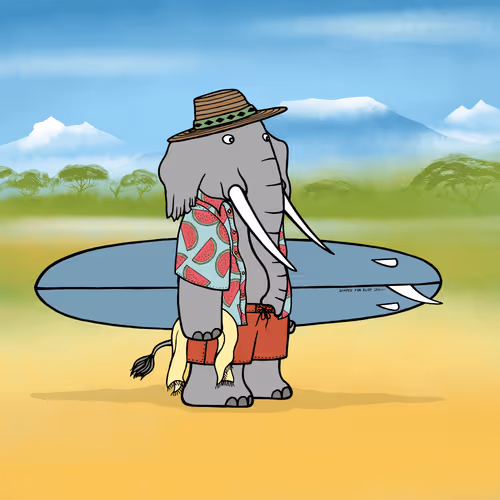 Safarisurfers
