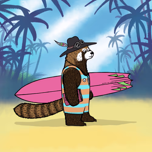 Safarisurfers