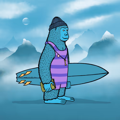 Safarisurfers