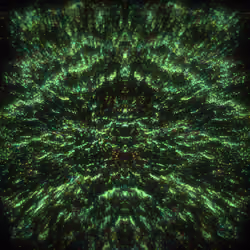A.I. #2583 - HUXLEY