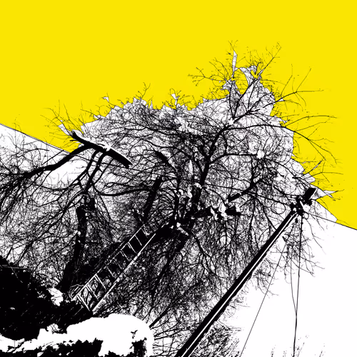POP LANDSCAPE