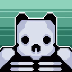 x-ray bear