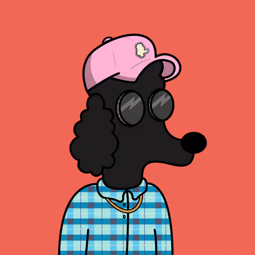 Item #7 Media
