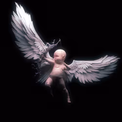 Newborn 1 #88/100