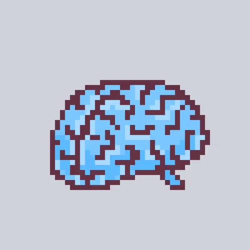 Bigbrainwtf