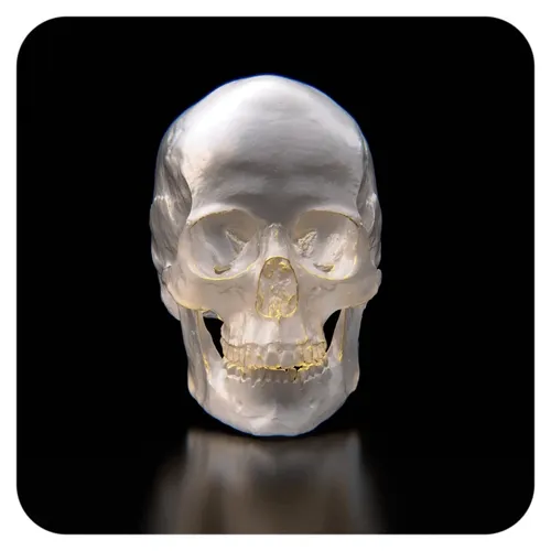 Skulls 109