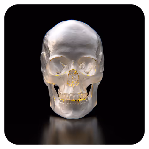 Skulls 109