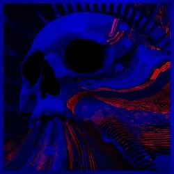 THE TWENTY FIFTH SKULL