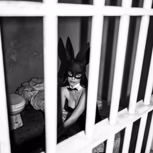 Playmate To Inmate