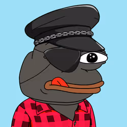 2497