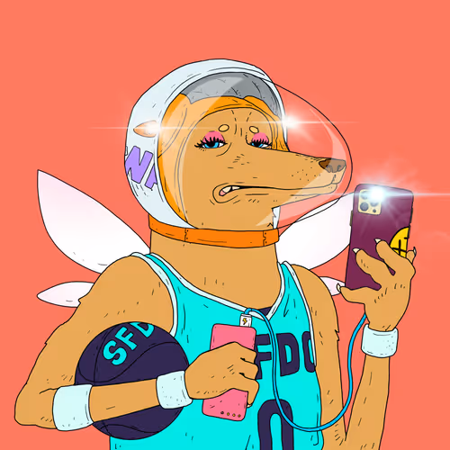 26