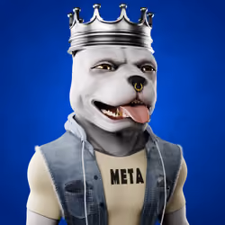 Meta Rebelz #1580