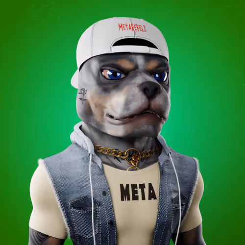 Meta Rebelz #479