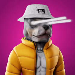 Meta Rebelz #31