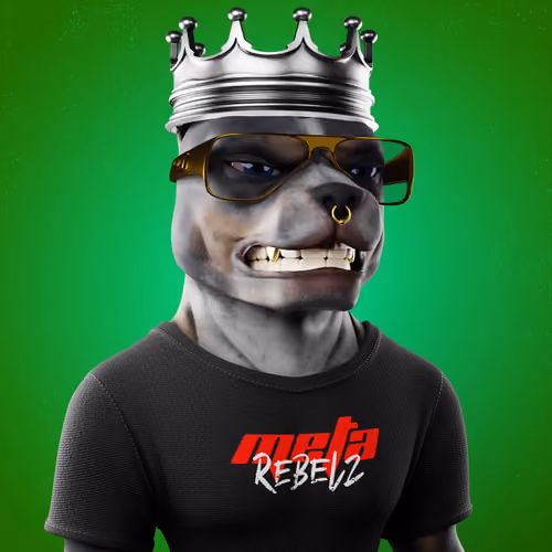 Meta Rebelz #206